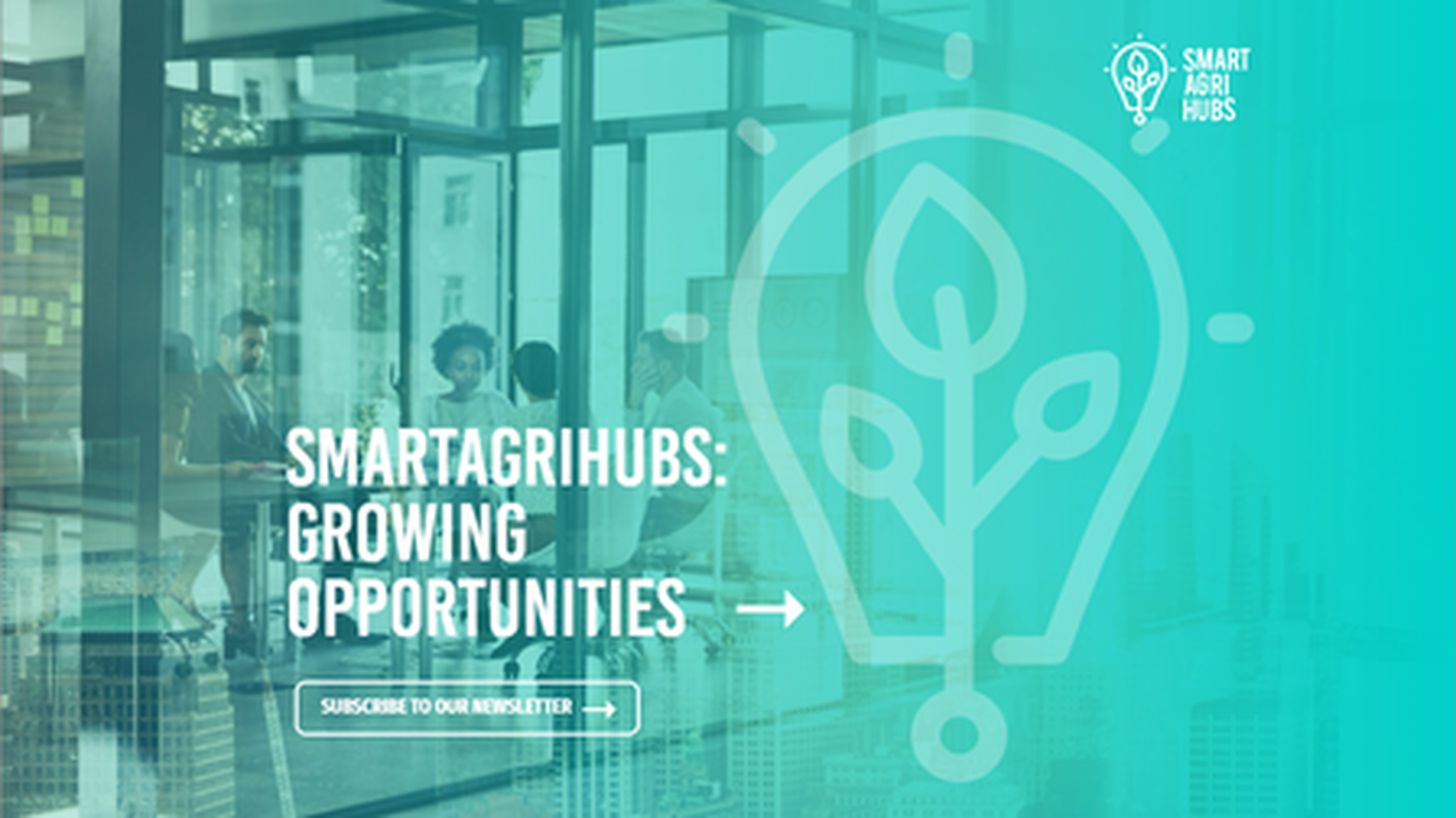 SmartAgriHubs Newsletter 12: July 2022. Growing Opportunities