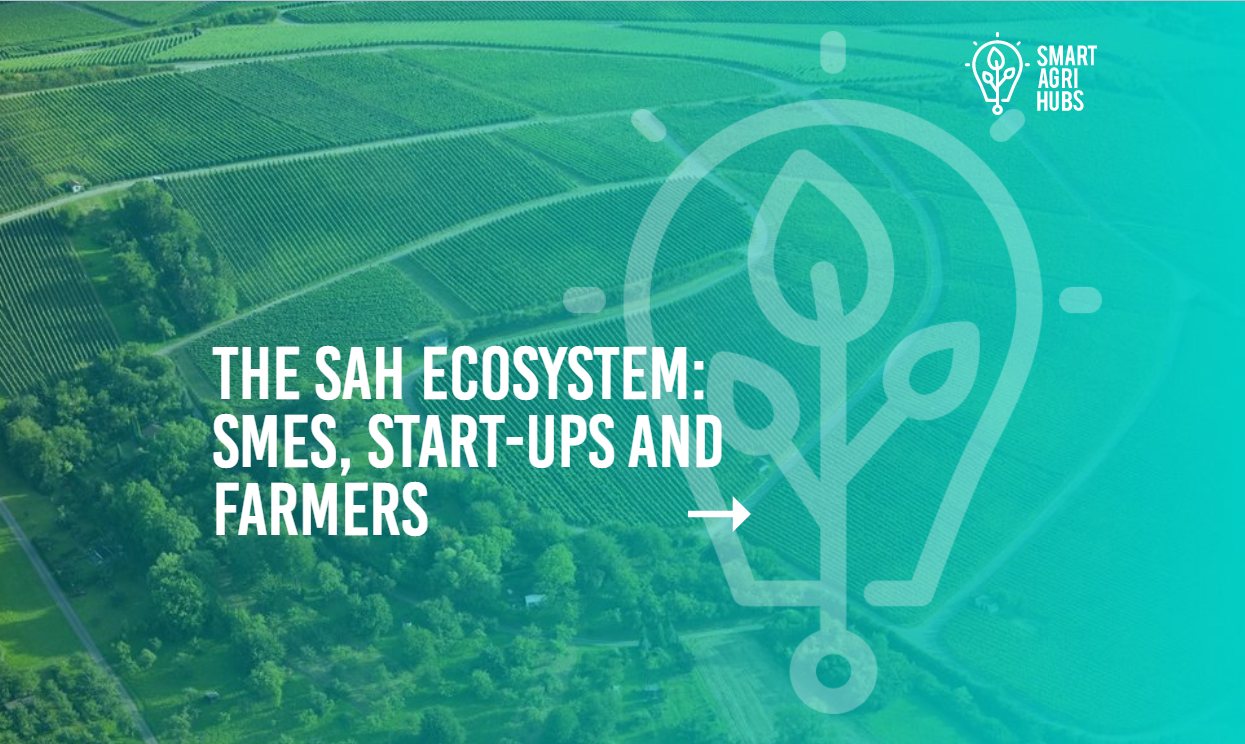 SmartAgriHubs Newsletter 7: November 2020. The SAH Ecosystem: SMEs, Start-ups and Farmers